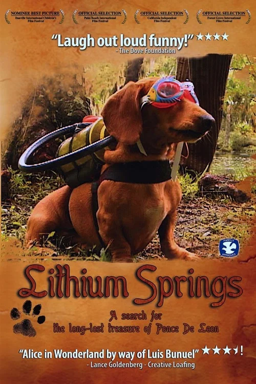 Lithium Springs постер