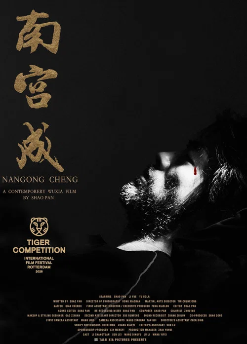 南宫成 постер