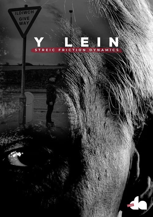Y Lein: Streic Friction Dynamics постер