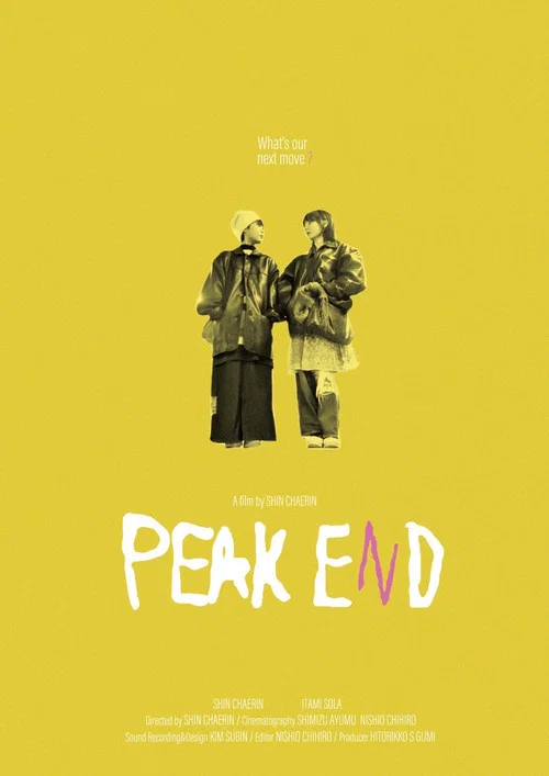 PEAK END постер