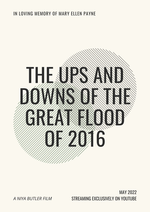 The Ups and Downs of the Great Flood of 2016 постер