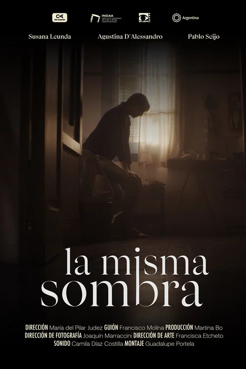 La misma sombra постер