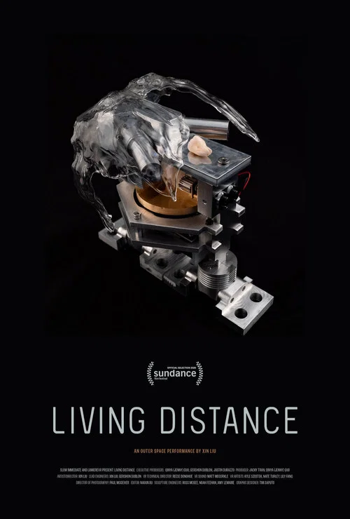 Living Distance постер