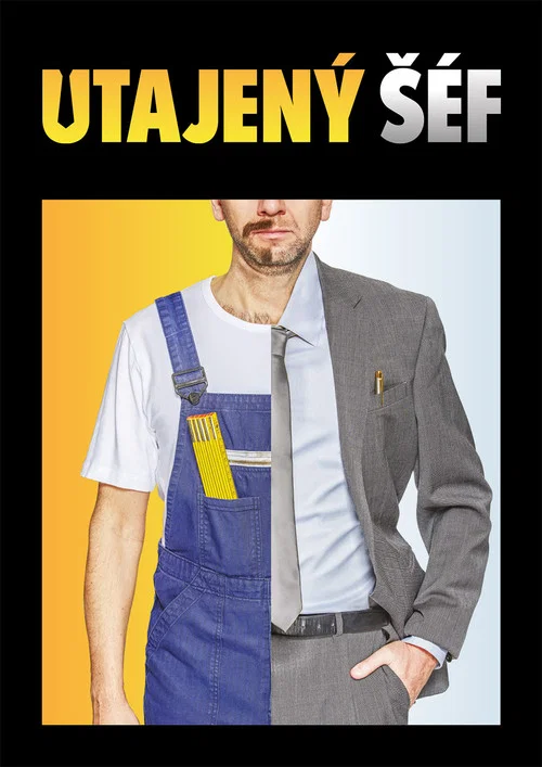 Utajený šéf постер