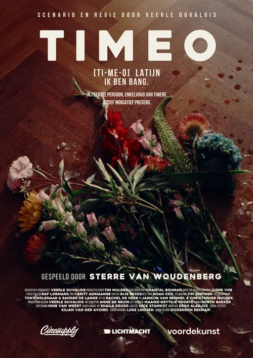 Timeo постер