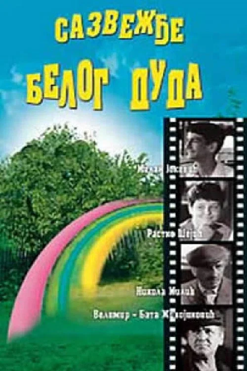 Sazvežđe belog duda постер