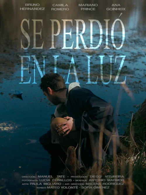 Se Perdió en la Luz постер