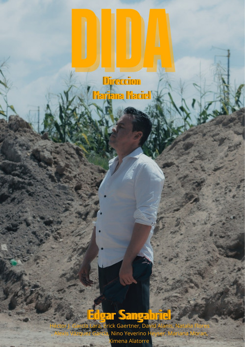 DIDA постер