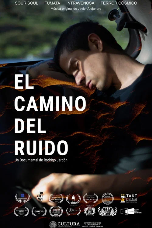 El camino del ruido постер