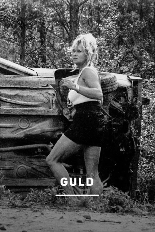 Guld! постер