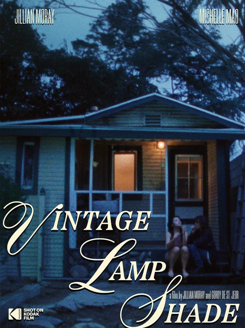 Vintage Lamp Shade постер