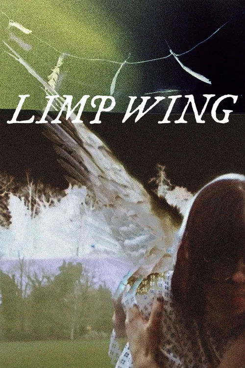 Limp Wing постер