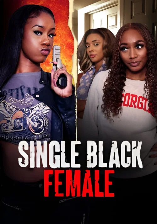 Single Black Female постер