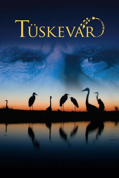 Tüskevár постер