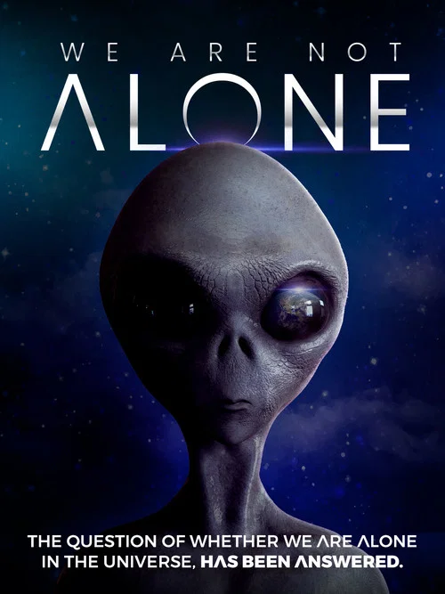 We Are Not Alone постер