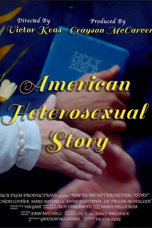 American Heterosexual Story постер
