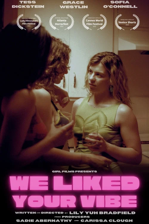 We Liked Your Vibe постер