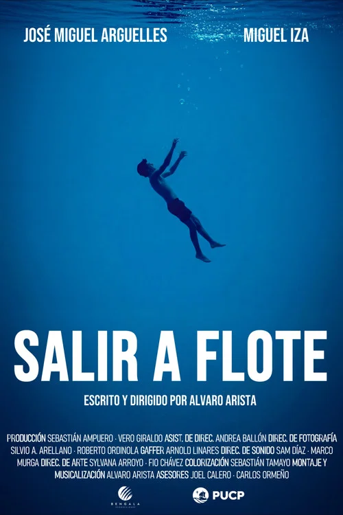 Salir a flote постер