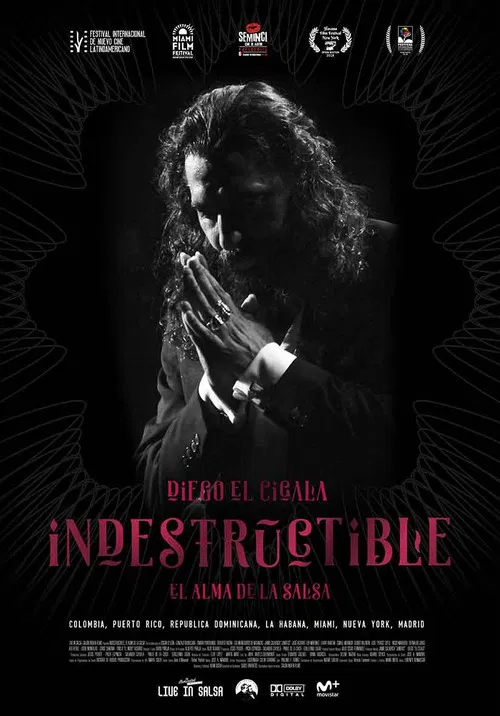 Indestructible: El alma de la salsa постер