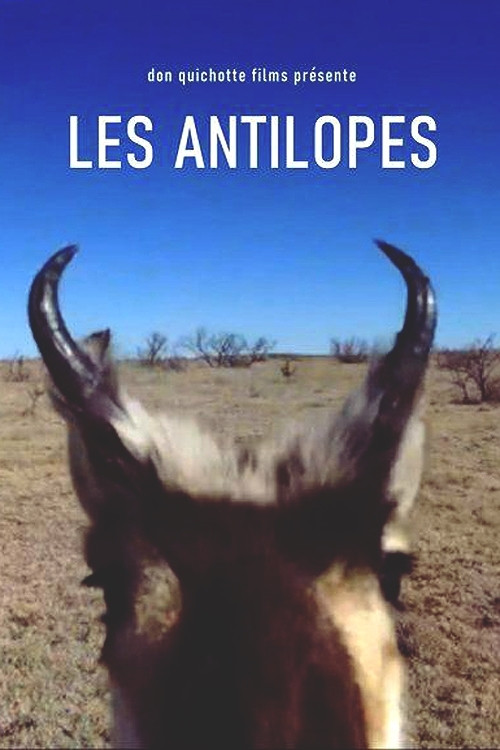 Les Antilopes постер