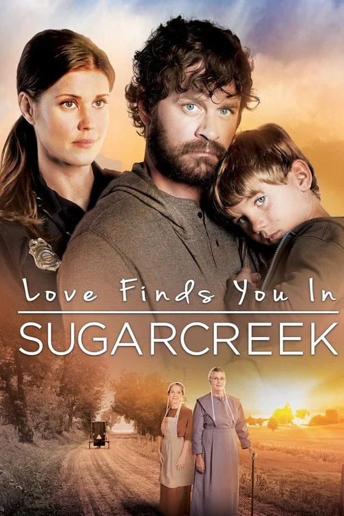 Love Finds You In Sugarcreek постер