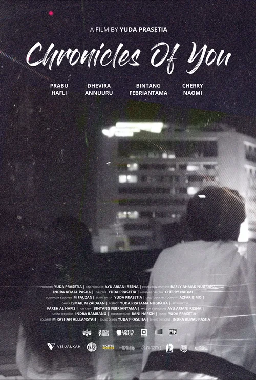 Chronicles of You постер