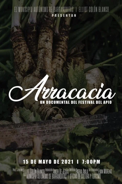 Arracacia: Un Documental del Festival del Apio постер