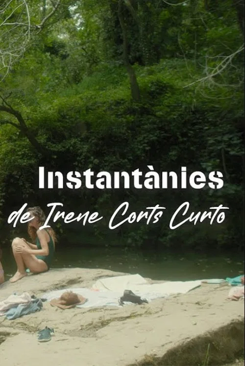 Instantànies постер