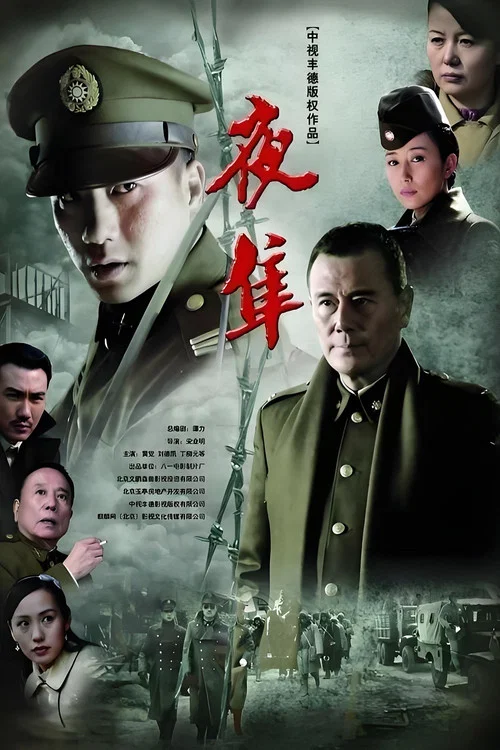 夜隼 постер