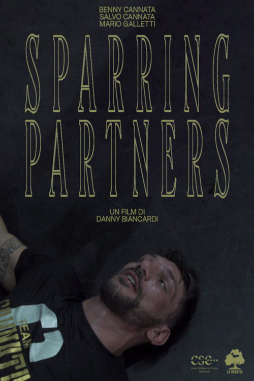 Sparring Partners постер