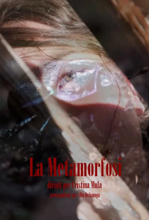 La Metamorfosi постер