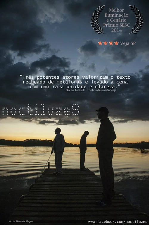Noctiluzes постер