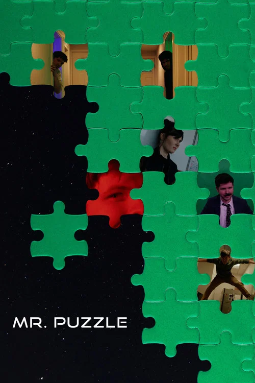 Mr. Puzzle постер