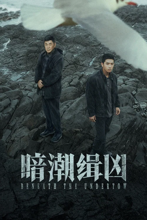 暗潮缉凶 постер