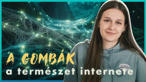 Эпизод 11