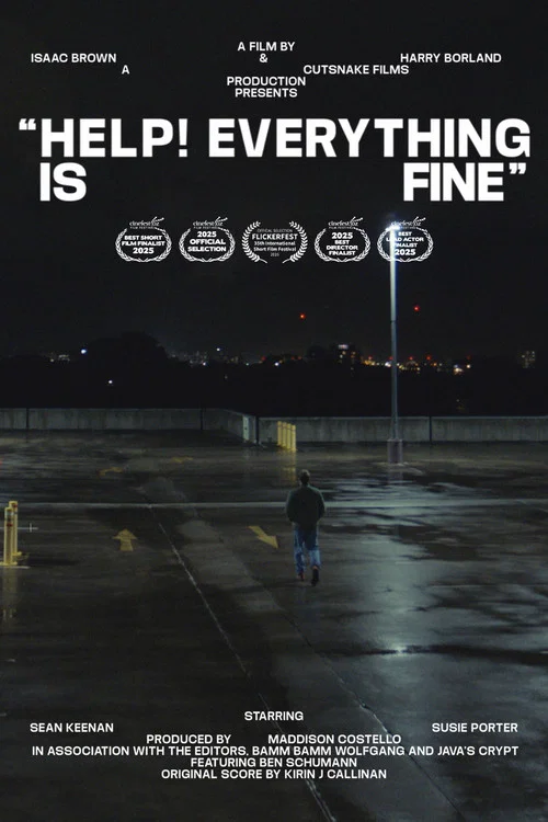Help! Everything is Fine постер