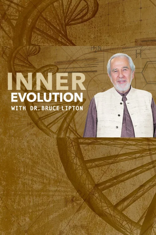 Inner Evolution постер