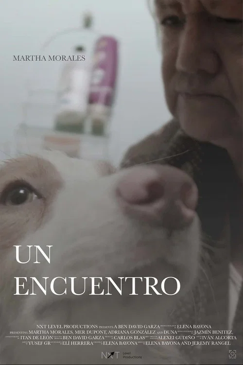 Un Encuentro постер
