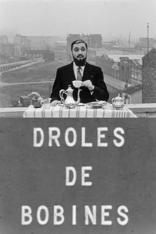 Drôles de bobines постер