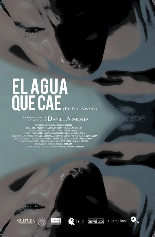 El agua que cae постер