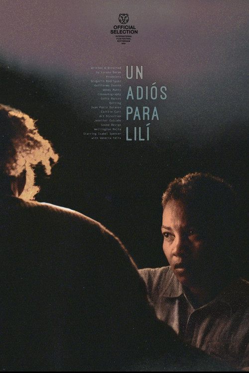 Un adiós para Lilí постер