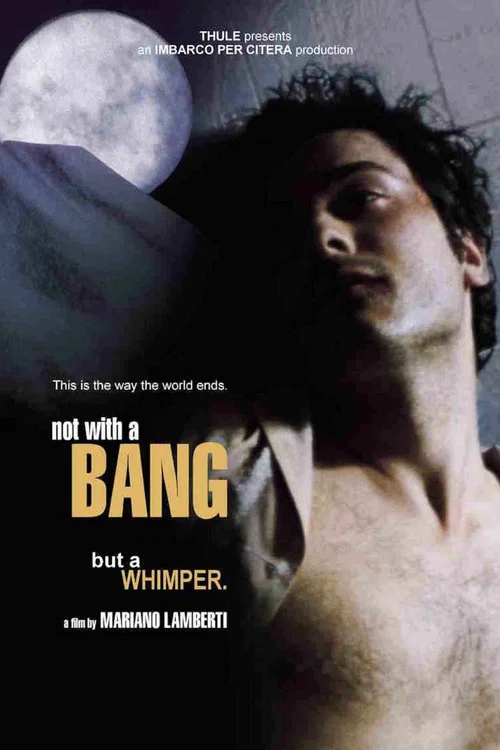 Non con un bang постер
