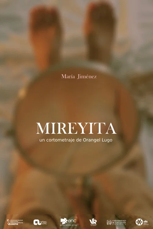Mireyita постер