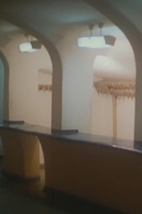 Friedrichstadtpalast постер