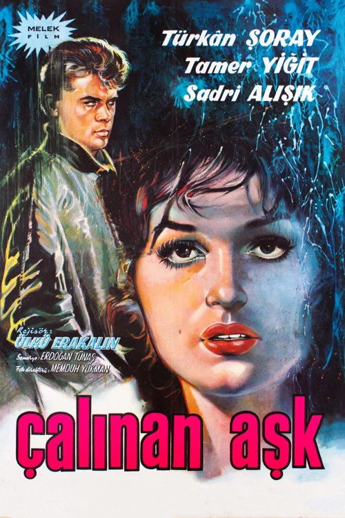 Çalınan Aşk постер