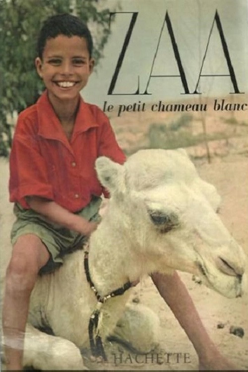 Zaa, petit chameau blanc постер