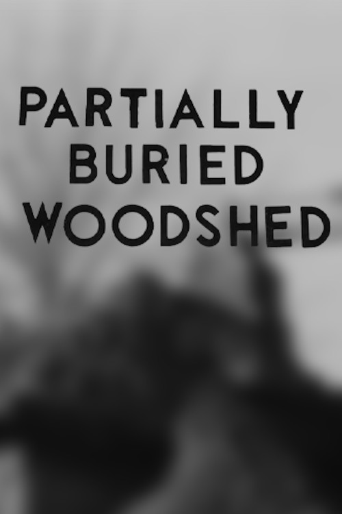 Partially Buried Woodshed постер