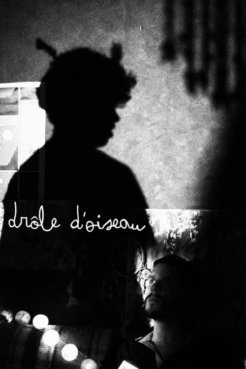 Drôle d'Oiseau постер