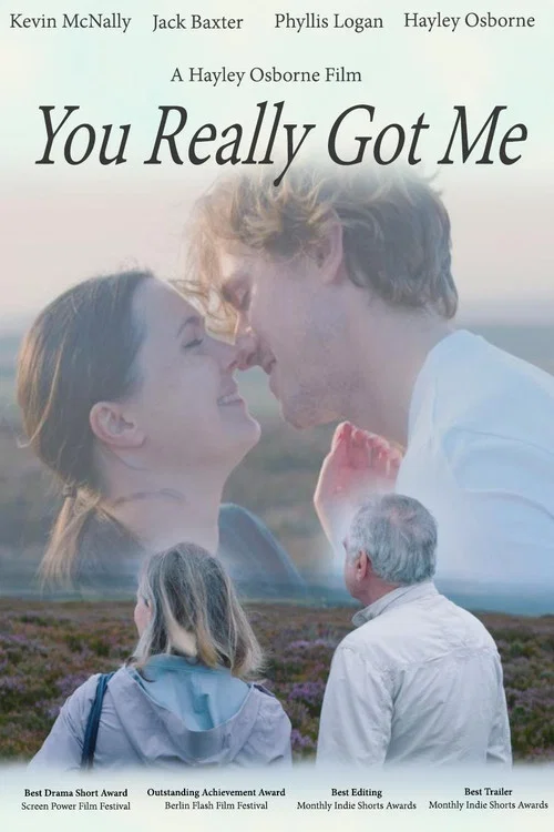 You Really Got Me постер