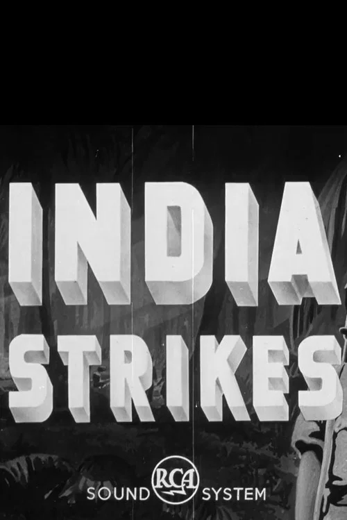India Strikes постер